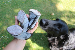 Hjemmelavet hundeis