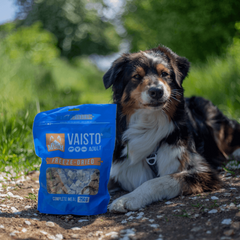 west paw waves slow feeder til hund