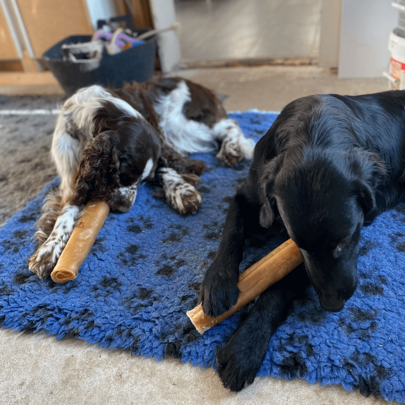 Mine personlige favoritter 2025