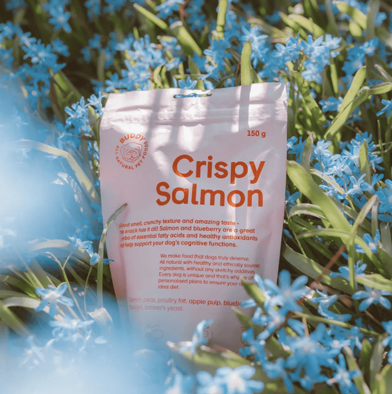 Buddy Crispy Salmon hundegodbidder