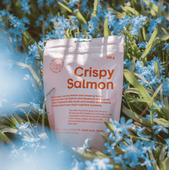 Buddy Crispy Salmon hundegodbidder