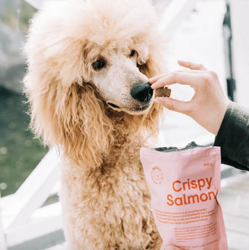 Buddy Crispy Salmon hundegodbidder