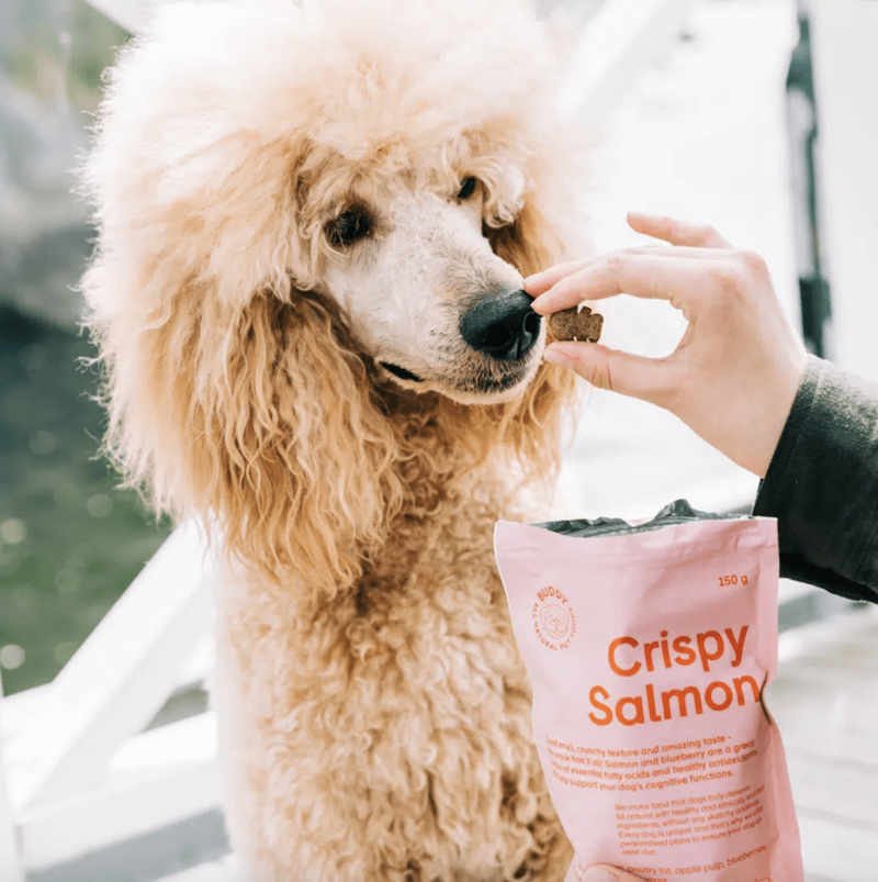 Buddy Crispy Salmon godbidder