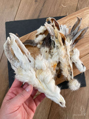 Kaninører med pels