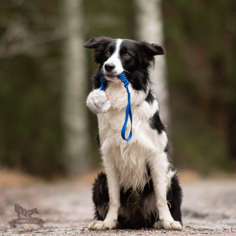 Elastik Chuckit Breathe med kanin