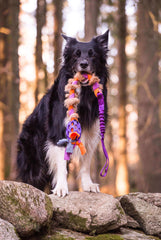 Hol-ee fleece/kanin flet bungee, Doggie-zen