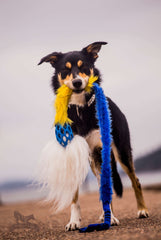 Hol-ee fake fur Comet Chaser bungee, Doggie-zen