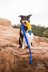 Hol-ee fake fur Comet Chaser bungee, Doggie-zen