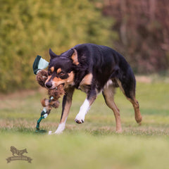 Flettet fleece/ræv bungee, Doggie-zen