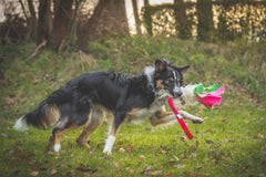 Bungee fåreskind med fleece hale, Doggie-zen