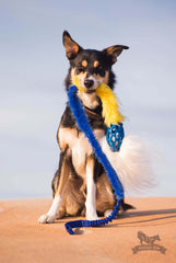 Hol-ee fake fur Comet Chaser bungee, Doggie-zen