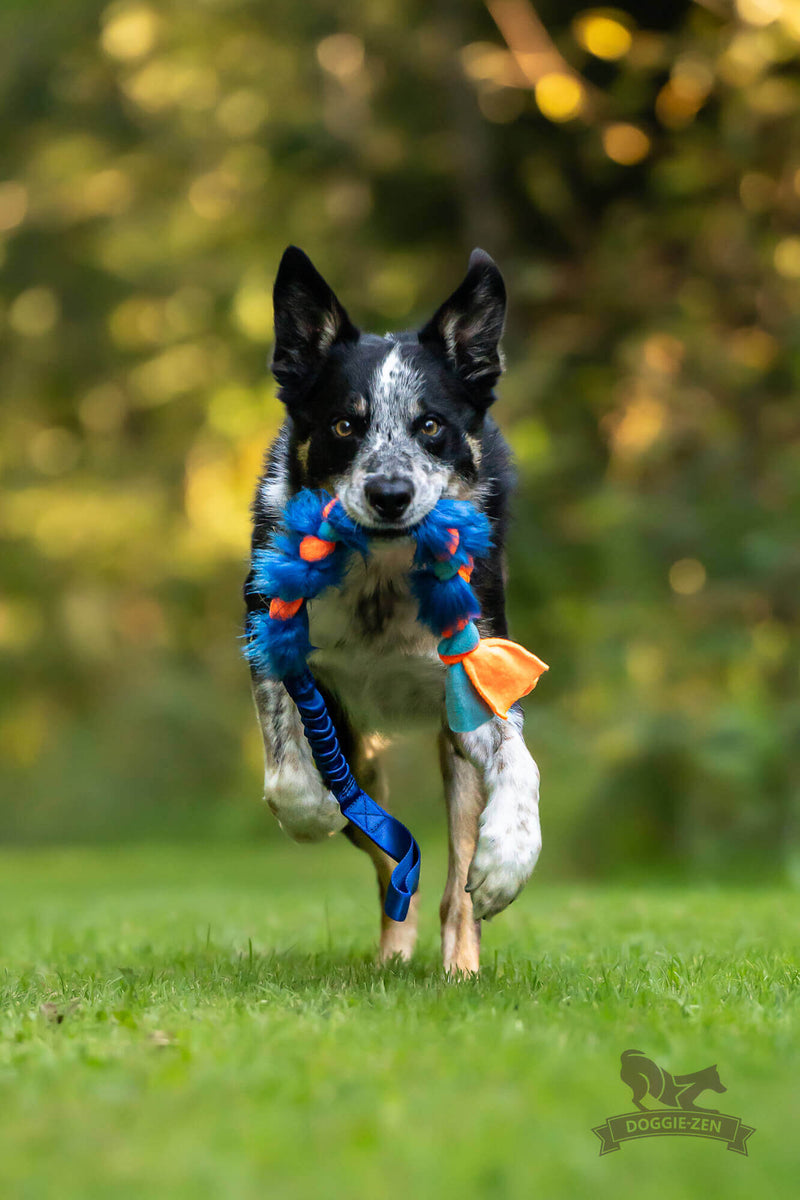 Flettet fleece/fake fur bungee, Doggie-zen