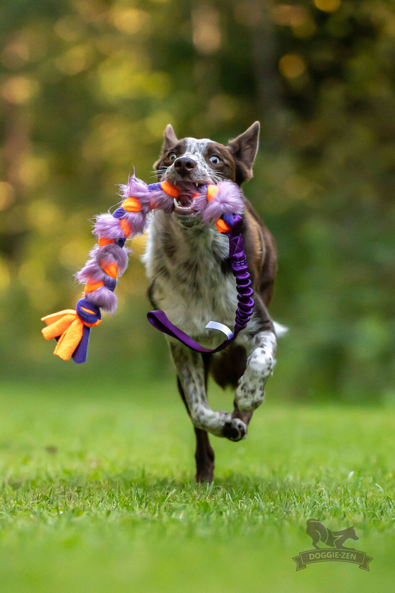 Flettet fleece/fake fur bungee, Doggie-zen