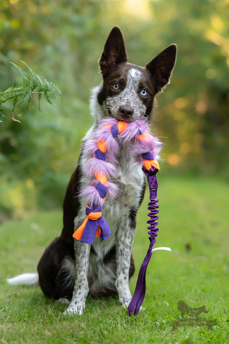 Flettet fleece/fake fur bungee, Doggie-zen