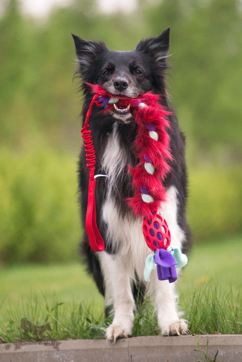 Hol-ee fleece/fake fur bungee, Doggie-zen