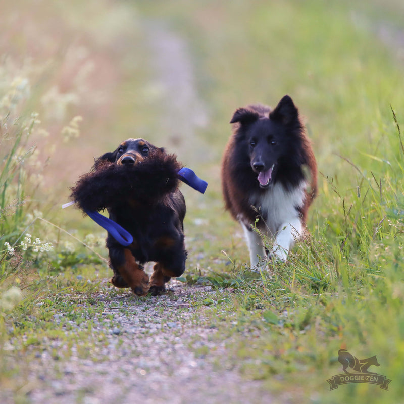 Fåreskind med 2 håndtag, Doggie-zen
