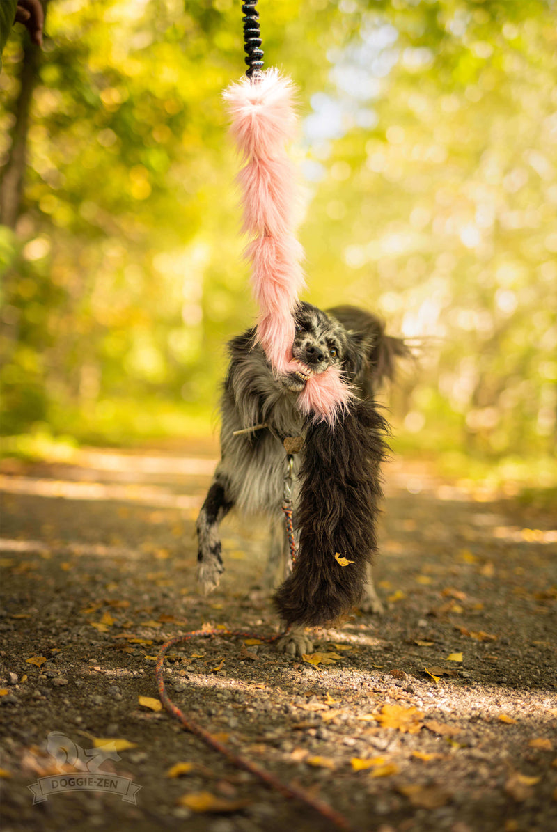 Fake fur og fåreskin bungee, Doggie-zen