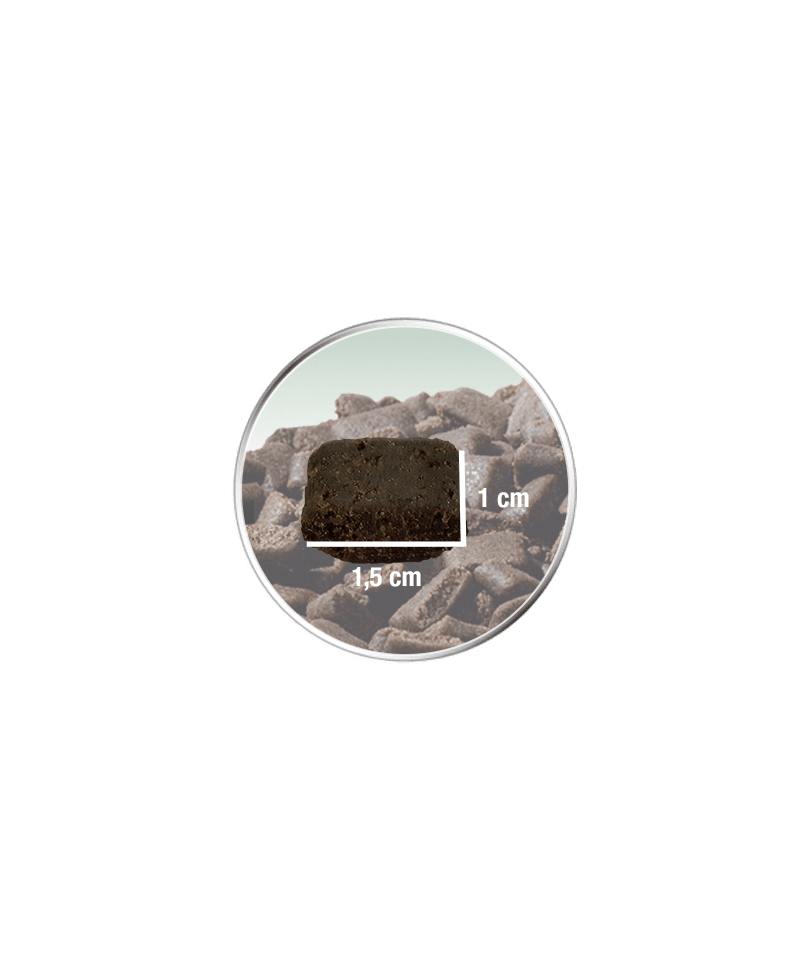 Platinum hundefoder med lam, 50g