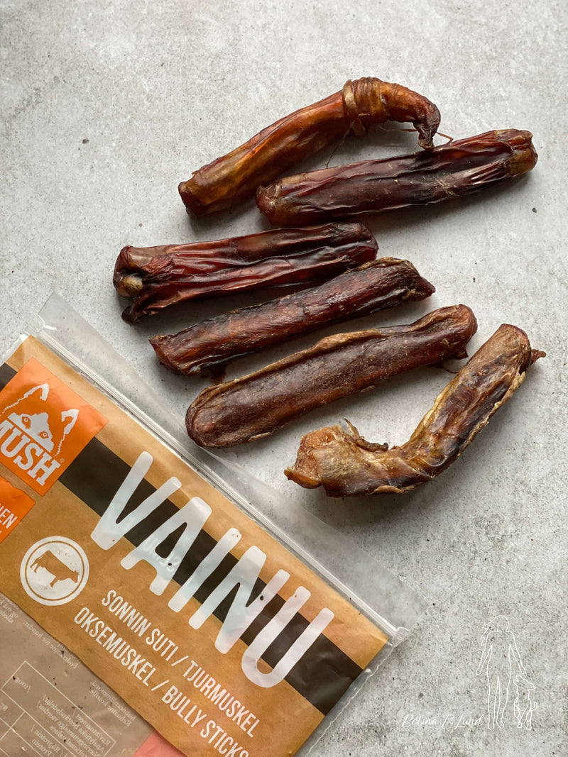 MUSH Vainu Tyremuskel (Bully Sticks), 250g