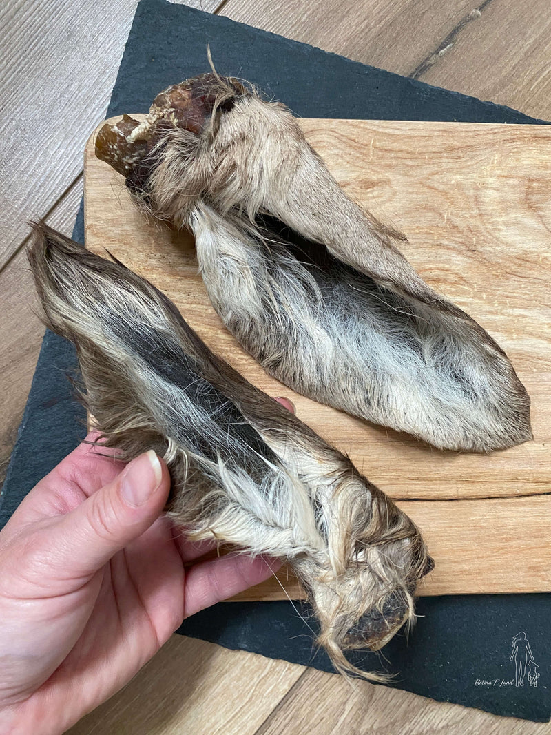 Krondyrører med pels, 2 stk