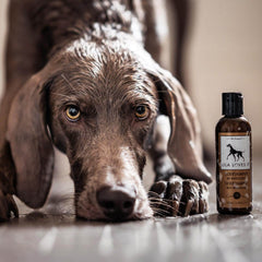 Lila Loves It sølvshampoo, 100ml