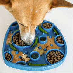 West Paw slow feeder, bubbl