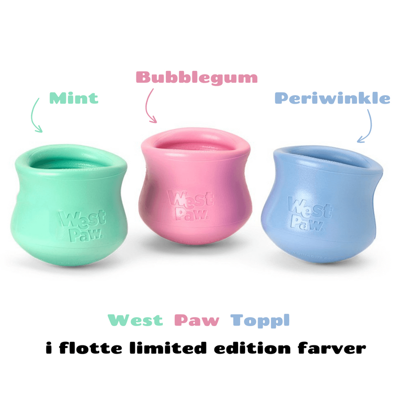 West Paw Toppl, slow feeder