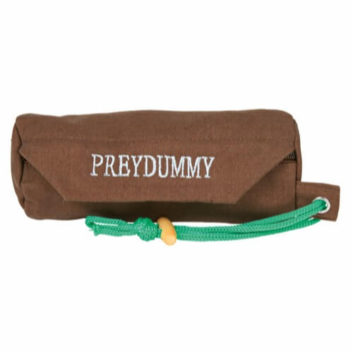 Preydummy