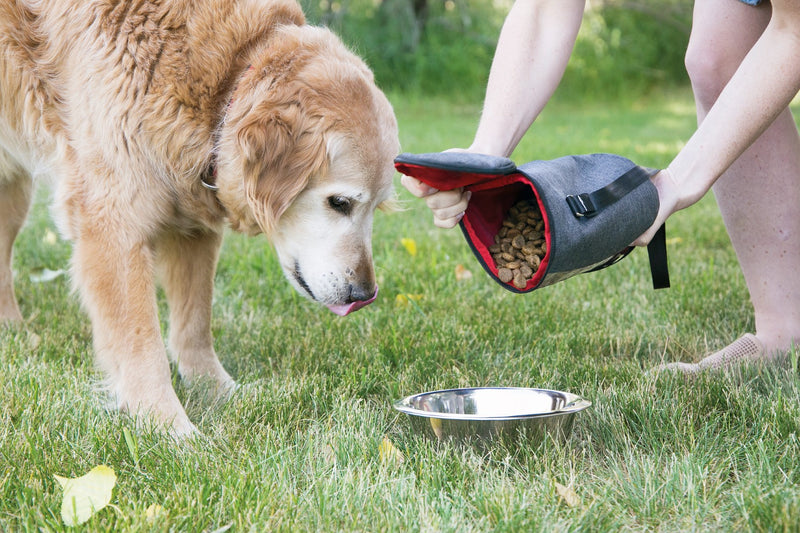 Kong taske til hundefoder, Kan indeholde 2,6 liter