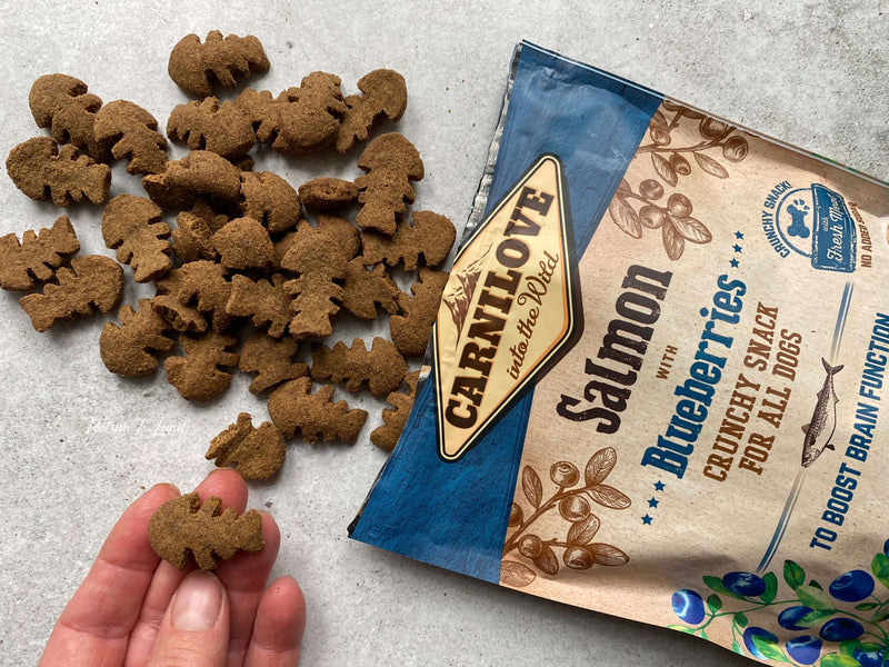 Carnilove Crunchy laks med blåbær