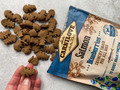Carnilove Crunchy laks med blåbær