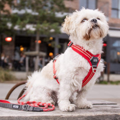 DOG Copenhagen Walk Air, Classic Red (XL tilbage)