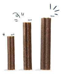 Edgard Cooper dental sticks, jordbær & mint