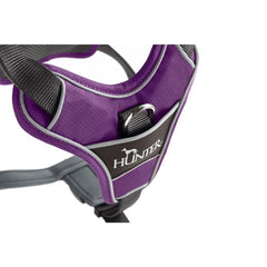 Hundesele, Hunter Divo Violet