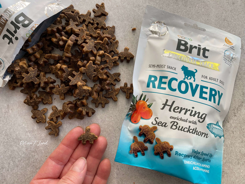 Brit recovery med sild & havtorn, 150g