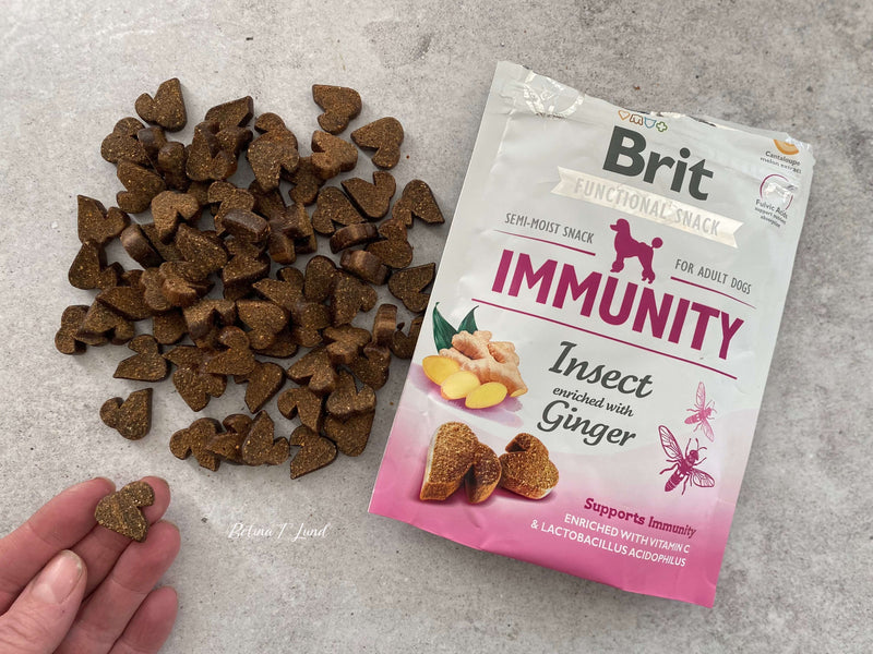 Brit immunity med insekt & ingefær, 150g