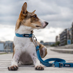 DOG Copenhagen Freestyle Ocean Blue