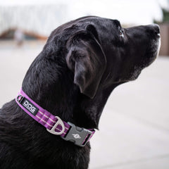 DOG Copenhagen, Urban Style Purple Passion