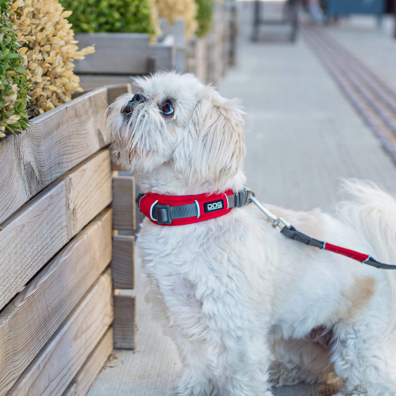 DOG Copenhagen, Urban Explore Classic Red