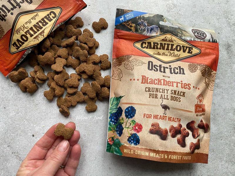 Carnilove Crunchy Struds med brombær