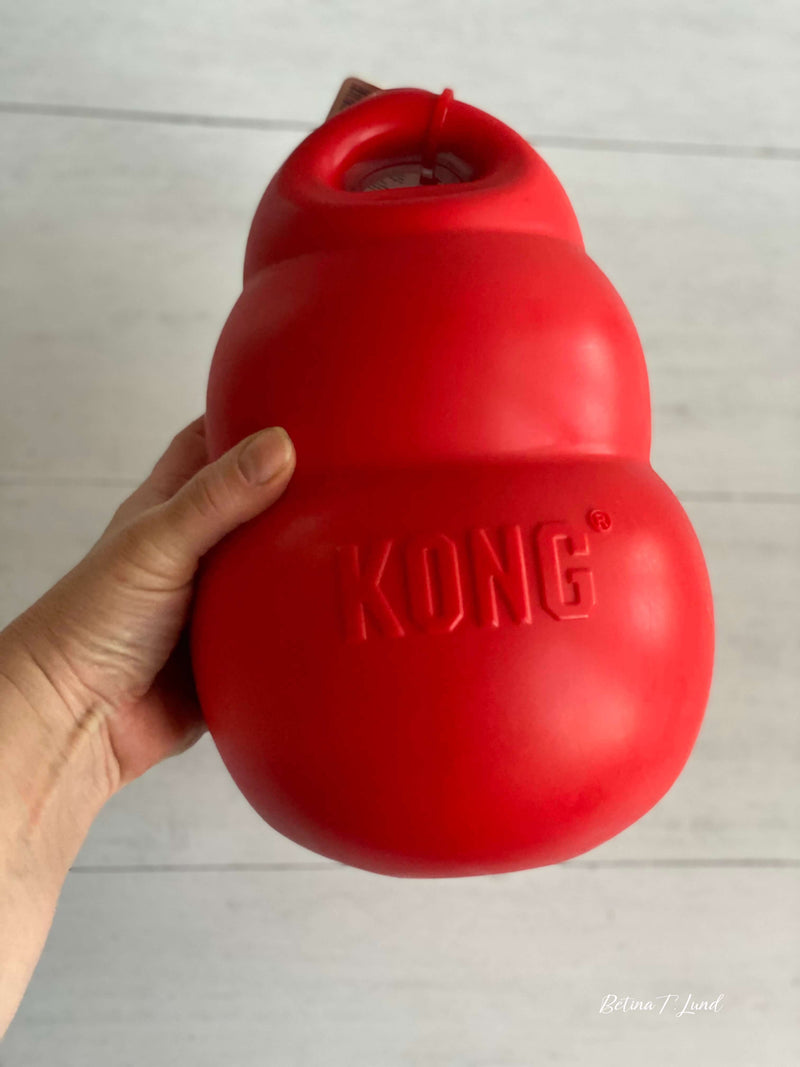 KONG Bounzer