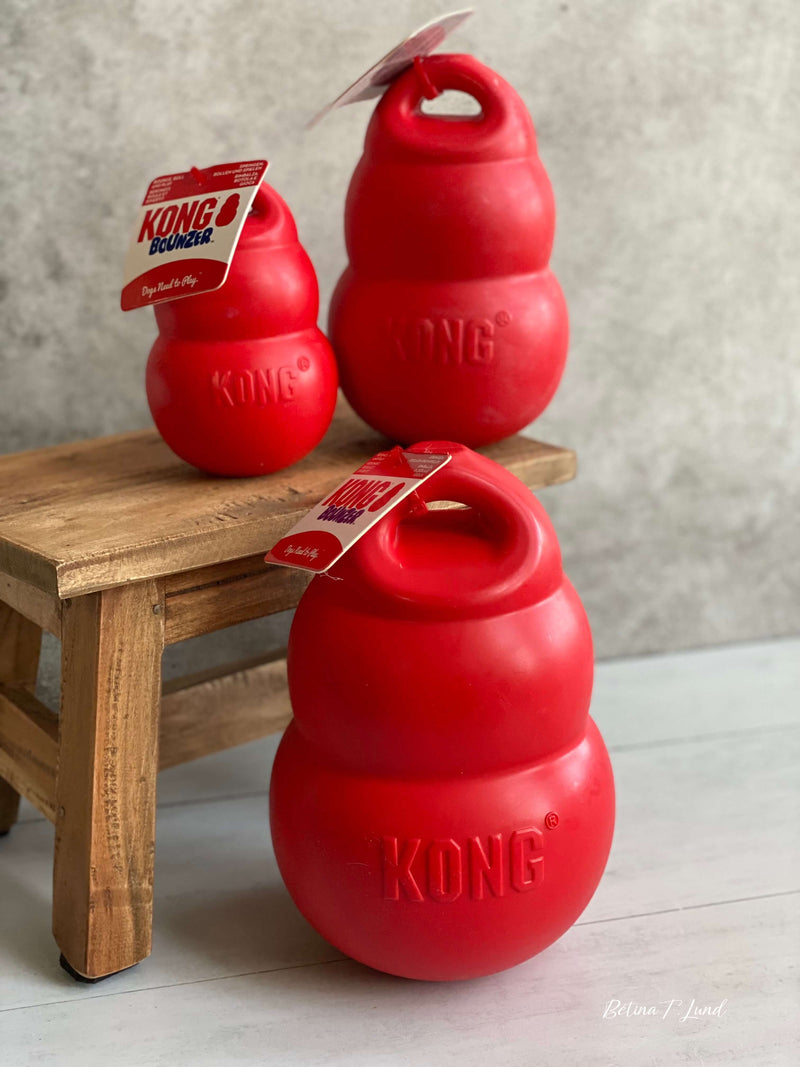 KONG Bounzer