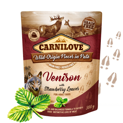 Carnilove vådfoder med kalkun & råvildt, 300g