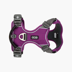 DOG Copenhagen Walk Pro, Purple Passion (XS tilbage)