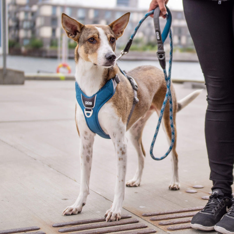 DOG Copenhagen Walk Pro, Ocean Blue