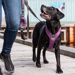 DOG Copenhagen Walk Pro, Purple Passion (XS tilbage)