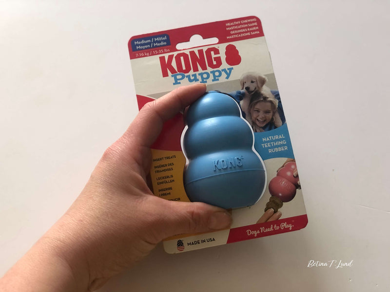 KONG Puppy, lyseblå