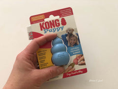 KONG Puppy, lyseblå