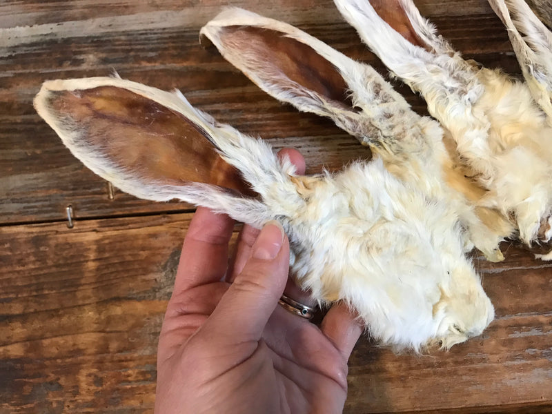 Kaninører med pels, 150g