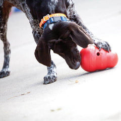 Kong wobbler, til food enrichment